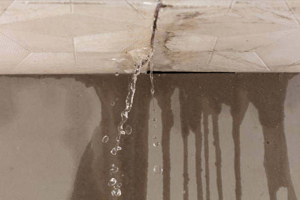 Professional Structural Drying technician working in Bernard, ME